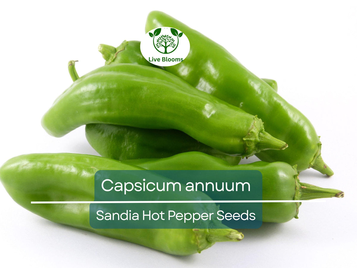 Sandia Hot Pepper Seeds 250mg, Capsicum annuum, New Mexican Heirloom, Spicy Chili for Salsas & Cooking, Home Garden Planting
