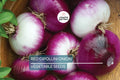 Red Cipollini Onion Seeds - Non-GMO, Heirloom, Flat-Shaped, Allium cepa, Perfect for Roasting & Pickling, USA Grown