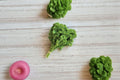 Mustard Seeds – Southern Giant Curled Brassica juncea Heirloom Green Leaf Vegetable, Large Curled Leaves