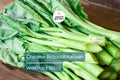 Chinese Broccoli Seeds 500mg - Kailaan Gai Lan Brassica oleracea var. alboglabra - Asian Green for Stir-Fries & Garden Veggies