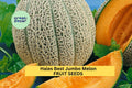 3pcs of 1g Hales Best Jumbo Melon Seeds – Heirloom Cantaloupe Variety for Summer Gardens, Containers, Outdoor Planting, Cucumis melo