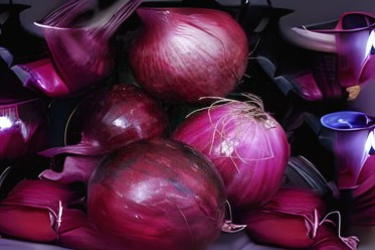 Heirloom Southport Red Globe Onion Seeds - 250 mg Non-GMO, Red, Open-Pollinated, Allium cepa for Slicing, Salads & Cooking