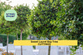 Sweet Bay Laurel Cuttings - 10 Fresh Laurus Nobilis Herb Plants for Culinary Use, Evergreen Shrub, Hardy, Aromatic Leaves