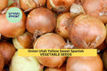 3pcs Utah Yellow Sweet Spanish Onion Seeds – Mild Flavor, Large Golden Bulbs, Allium cepa, Home Garden Planting