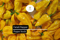 5 Seeds Fatalii Pepper Capsicum chinense Rare Yellow Chili for Hot Sauces, Salsas, Exotic Culinary Use