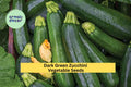 Dark Green Zucchini Seeds 3 Pack | Fast Growing Summer Squash Seeds for Garden & Container Planting | Cucurbita pepo
