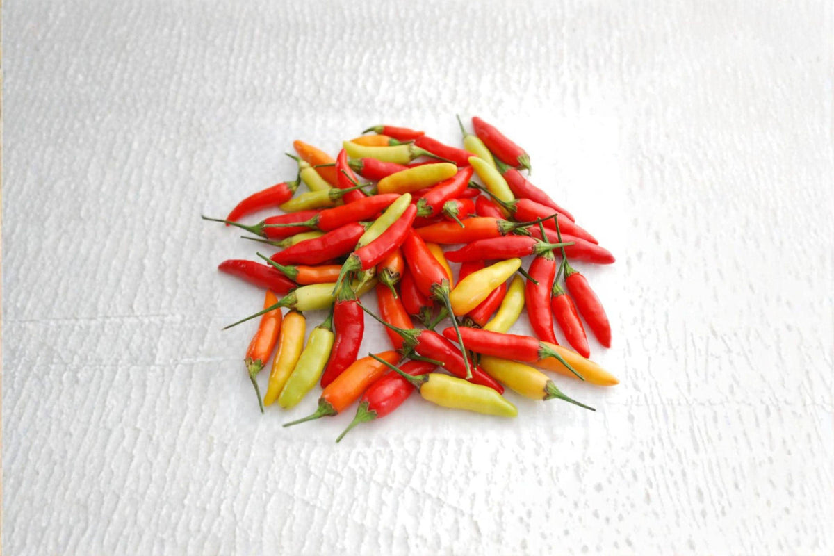 Tabasco Hot Pepper Seeds | Capsicum frutescens | Small Red Chili for Hot Sauce & Cooking