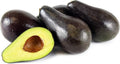 Grafted Stewart Avocado Tree - 1 Foot Tall - Persea americana - Container Plant, Fruit Tree, Small Space Gardening