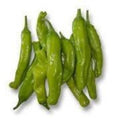 Shishito Pepper Plant - Live in 3" Pot - Capsicum annuum - Mild, Sweet Peppers for Garden or Container