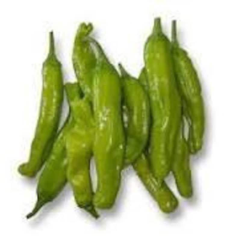 Sweet Shishito Pepper Plant - 3” Pot, Capsicum annuum, Live Garden or Container Plant for Culinary Use