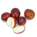 Grafted Jujube Li Tree - 1-2 Feet Tall - Large Fruit - Ziziphus jujuba - 6" Pot - Hardy Zones 5-10