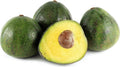 Nabal Avocado Tree - Grafted 1ft Plant - Persea americana - Small Indoor/Outdoor Fruit Tree
