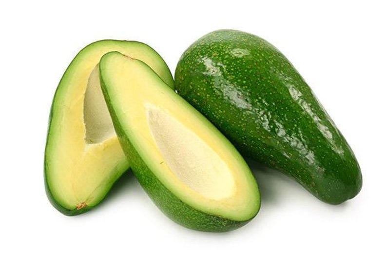 Fuerte Avocado Tree Grafted 2ft Tall in 6" Pot Persea americana, Fruit Tree for Garden or Patio
