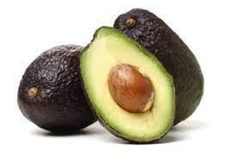 Lamb Hass Avocado Tree Grafted 3-4ft, Persea americana, Fruit-bearing, Drought Tolerant, Indoor/Outdoor Plant