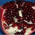 Pomegranate Plant - 6-Inch Pot - Ambrosia Variety - Sweet Red Fruits - Punica granatum