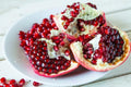 Pomegranate Tree 3 Gal Pot - Juicy Red Fruit - Punica granatum - Drought Tolerant Ornamental Shrub