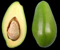 Doni Avocado Tree - Grafted 3-Gallon Pot - Florida's First Quality Persea americana - Large, Flavorful Fruits