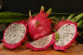 Dragon Fruit Plant - Vietnamese Jaina Hylocereus undatus - Live 1 ft Fruit-bearing Cactus in 6" Pot