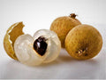 Longan Tree Live Plant - 2 Feet Tall in 3-Gallon Pot - Dimocarpus longan 'Biew Kiew' - Tropical Fruit Tree