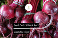 Detroit Dark Red Beet Seeds 1g Heirloom Beta vulgaris for Roasting, Pickling, and Juicing