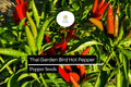 Thai Garden Bird Hot Pepper Seeds | Very Hot Non-GMO Chili Seeds for Thai Cuisine & Spicy Dishes | Capsicum annuum