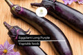 Eggplant Long Purple Seeds – Heirloom Solanum melongena, 8-10 Inch Fruits, Mild Flavor, High Yield, Full Sun, USDA Zones 4-9