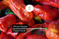Ghost Pepper Seeds, Bhut Jolokia, Extremely Hot Chili Pepper for Spicy Gardens, Capsicum chinense
