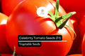 10 Seeds Celebrity Tomato F1 Hybrid, Solanum Lycopersicum, High-Yield Disease-Resistant Tomato for Slicing & Salads