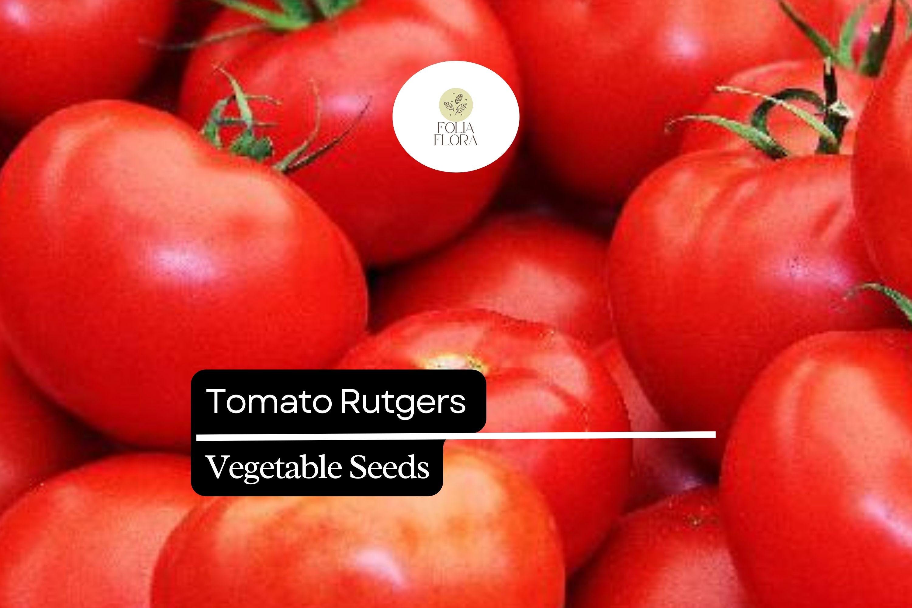 Tomato Seeds Rutgers Heirloom Non-GMO for Canning & Fresh Use | Solanum lycopersicum, Medium Globe Fruits