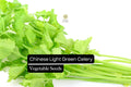 Chinese Light Green Celery Seeds - Heirloom Apium graveolens for Crisp, Mild Stalks, Stir-Fries & Salads, 500 Seeds