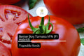 Better Boy Tomato Seeds VFN Hybrid, High-Yield Solanum Lycopersicum for Slicing & Cooking