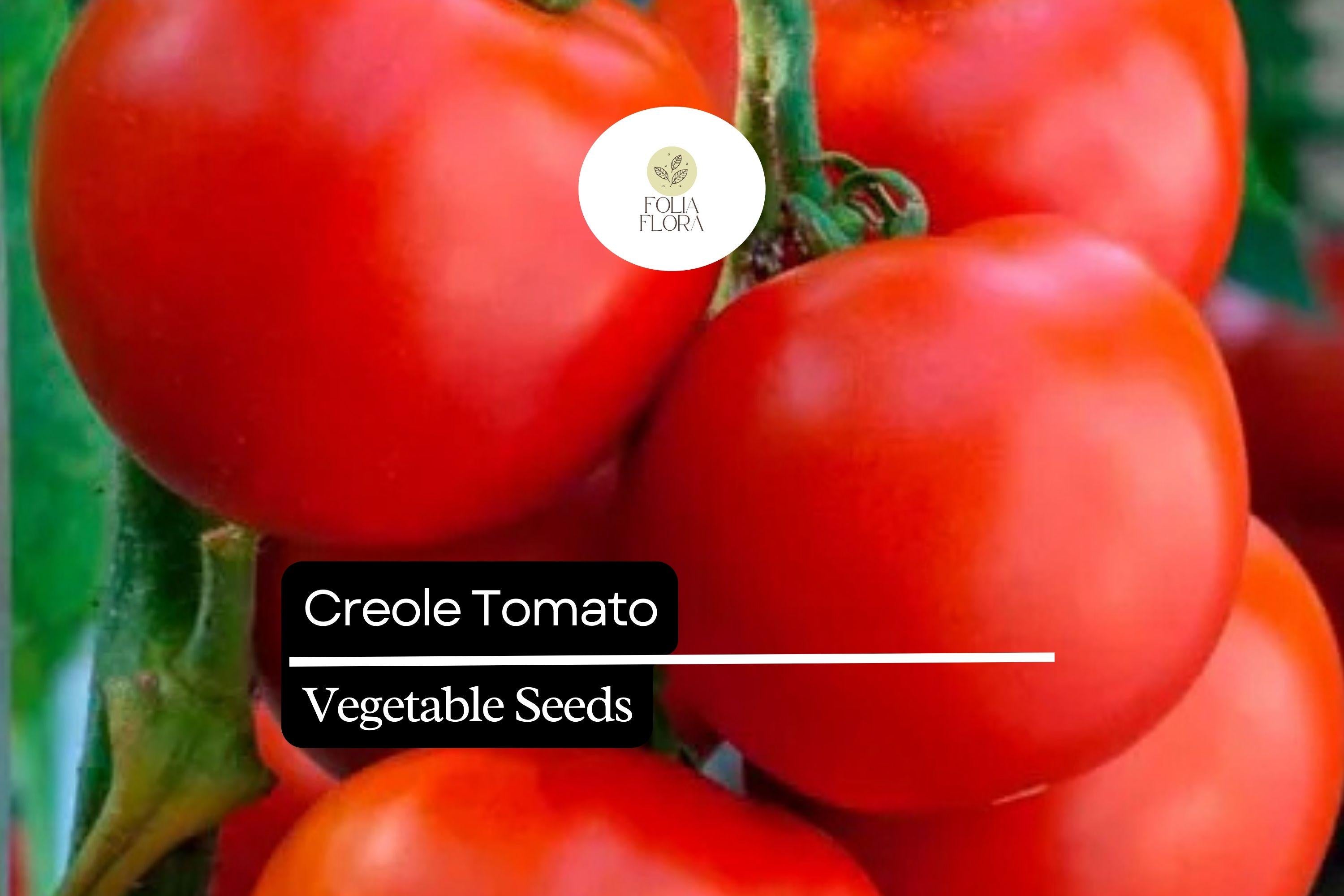 15 Seeds Creole Tomato Heirloom Seed Pack – Sweet Juicy Red Solanum lycopersicum for Garden, Container, Salsas