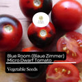 Blue Room Micro Dwarf Tomato Seeds – High-Yield Heirloom Cherry Tomatoes for Indoor & Container Gardening (Solanum lycopersicum)