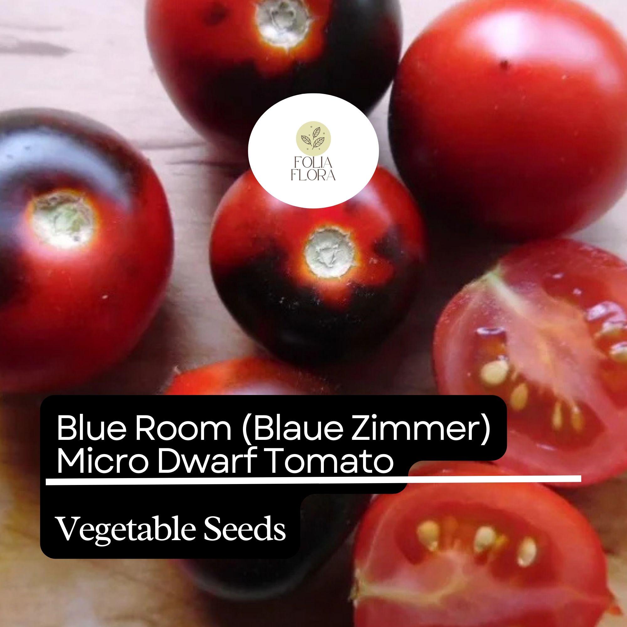 Blue Room Micro Dwarf Tomato Seeds – High-Yield Heirloom Cherry Tomatoes for Indoor & Container Gardening (Solanum lycopersicum)