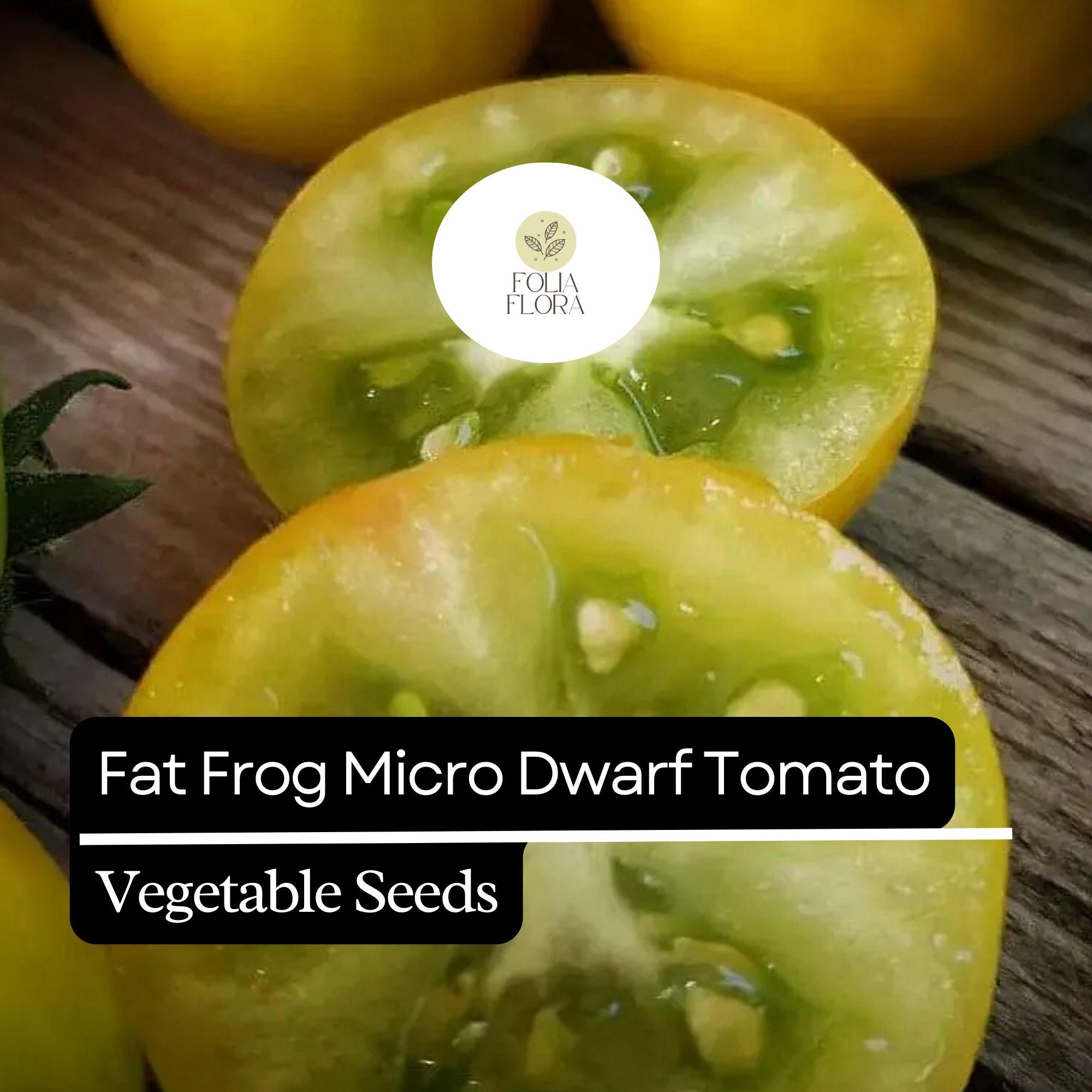 15 Fat Frog Micro Dwarf Tomato Seeds – Heirloom, Non-GMO, Compact Cherry Tomato Solanum lycopersicum