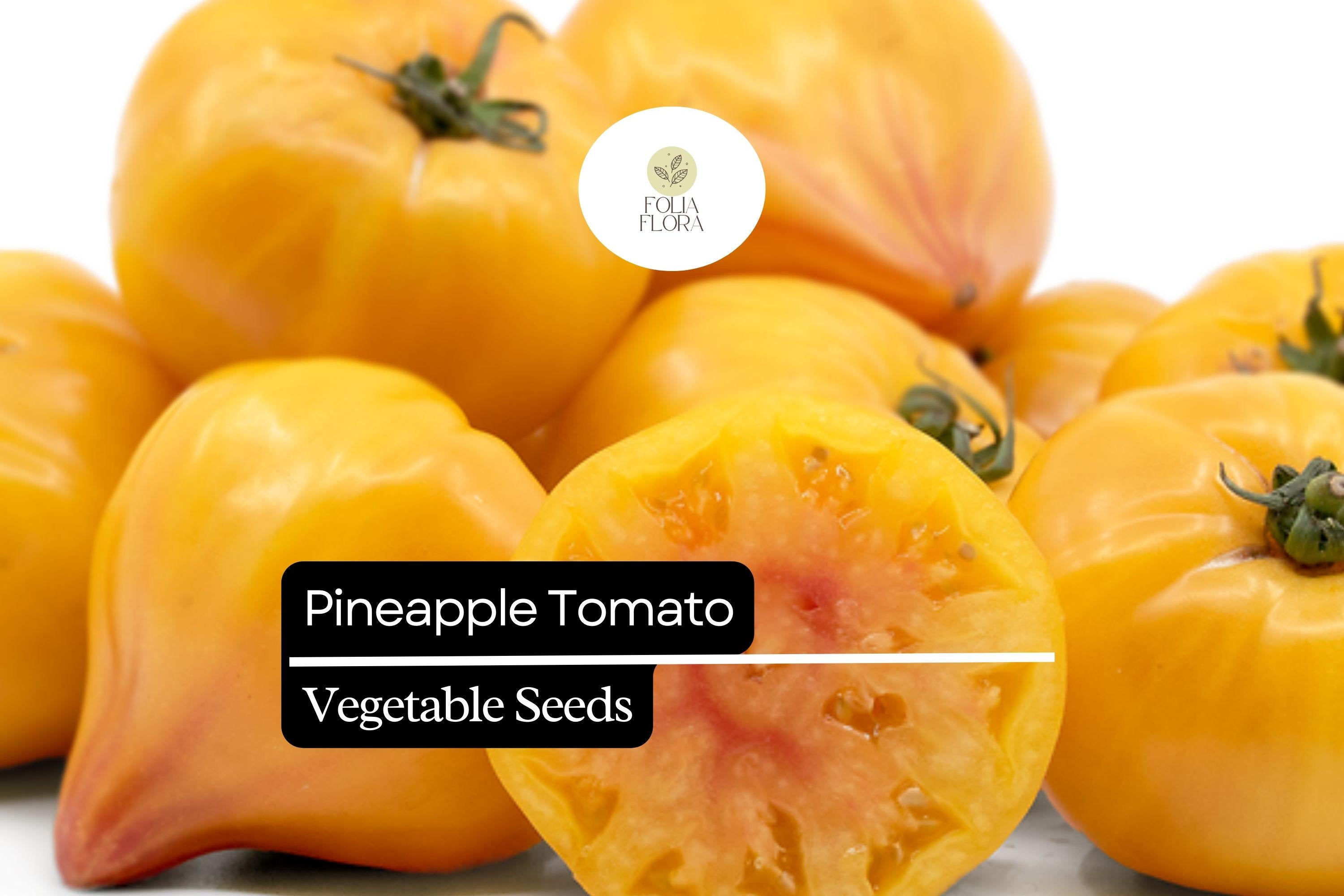 30 Pineapple Tomato Seeds | Heirloom Bicolor Beefsteak | Solanum lycopersicum | Sweet Juicy Yellow-Red Marbled Fruits
