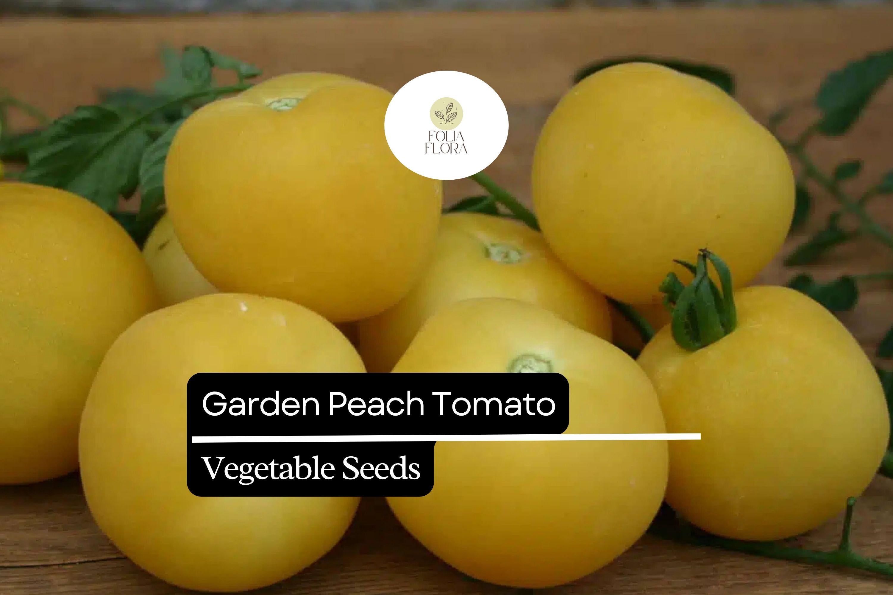 Garden Peach Tomato Seeds – Heirloom, Sweet & Juicy, Fuzzy Skin, High-Yielding, Solanum lycopersicum