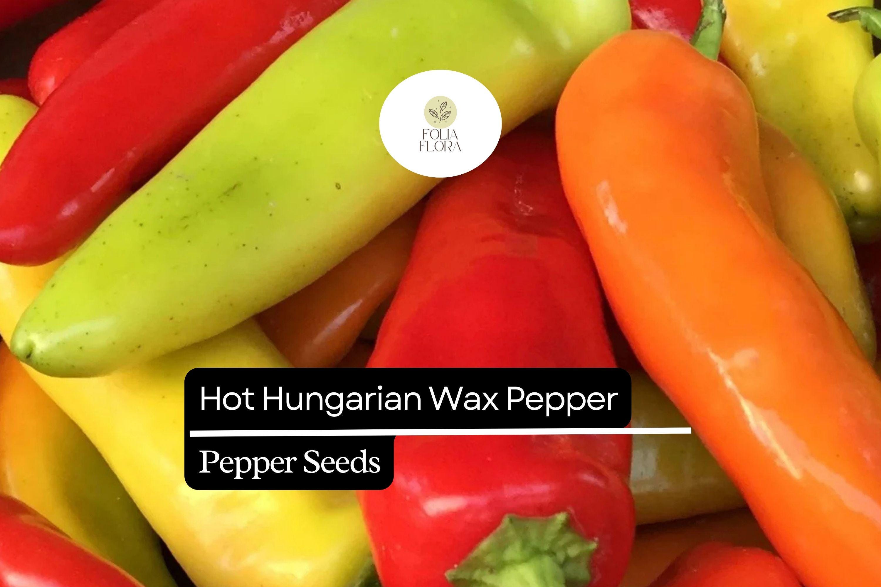 25 Hot Hungarian Wax Pepper Seeds – Heirloom, Spicy, High-Yielding, Capsicum annuum, Tangy Heat, Bright Yellow, Container Friendly