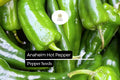 25 Anaheim Pepper Seeds – Mild, Flavorful, High-Yielding Capsicum annuum for Cooking, Roasting & Stuffing