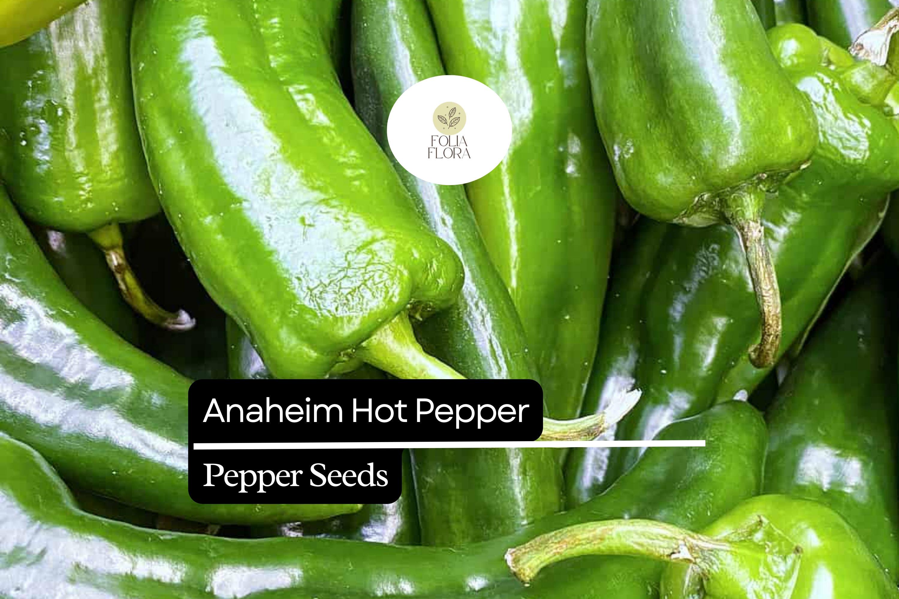 25 Anaheim Pepper Seeds – Mild, Flavorful, High-Yielding Capsicum annuum for Cooking, Roasting & Stuffing