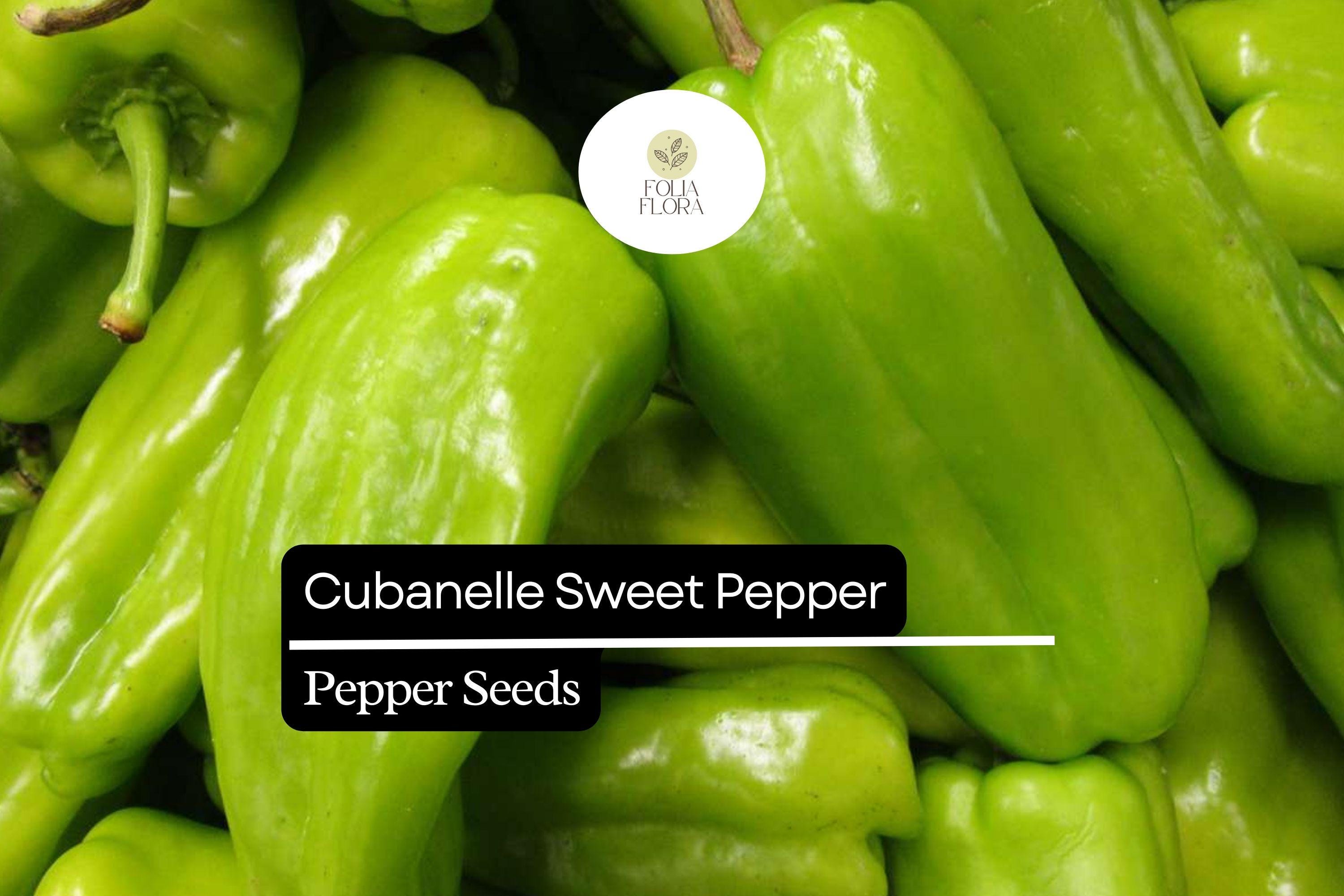 Cubanelle Sweet Pepper Seeds – Heirloom, High-Yielding, Mild, Thin-Skinned, Capsicum annuum