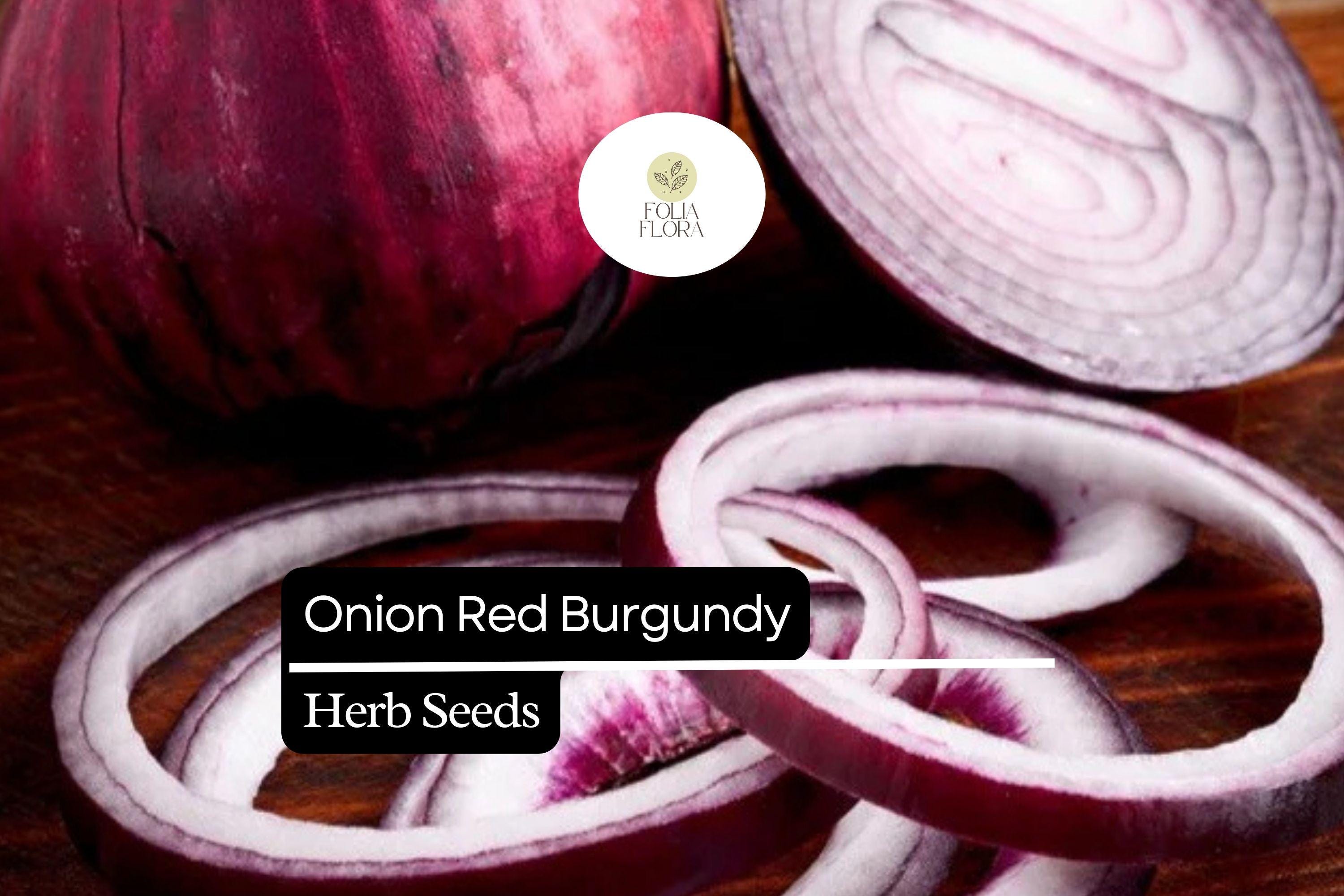 200 Red Burgundy Onion Seeds – Allium cepa Heirloom Non-GMO, Mild & Sweet Flavor, High Yield, Garden, Cooking, Salad