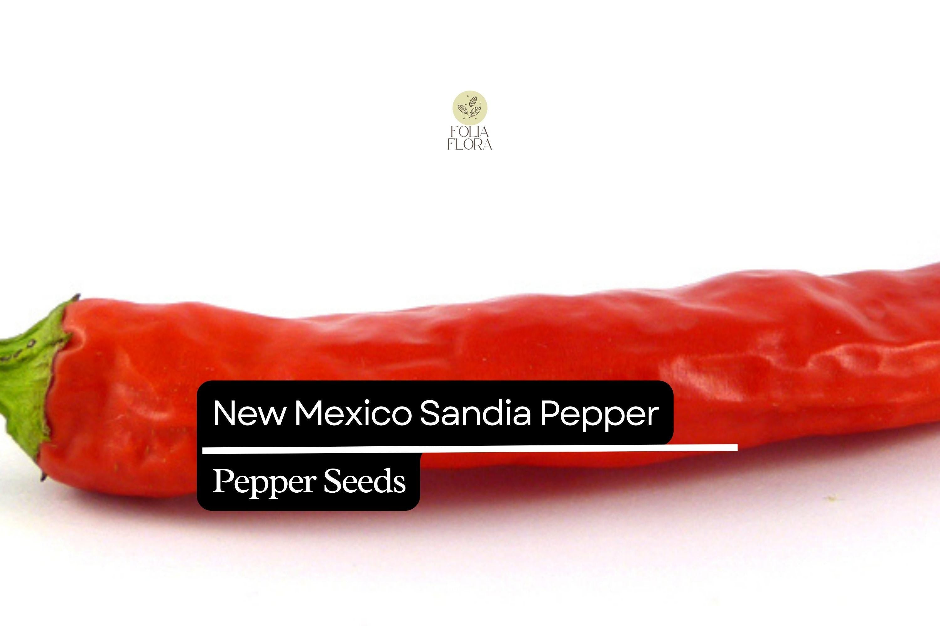 25 New Mexico Sandia Pepper Seeds – Heirloom, Mild-Medium Heat, Capsicum annuum, Perfect for Roasting & Drying