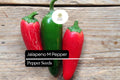 25 Jalapeño M Pepper Seeds – Heirloom, Non-GMO, Medium Heat, Capsicum annuum, Compact Bushy Plants