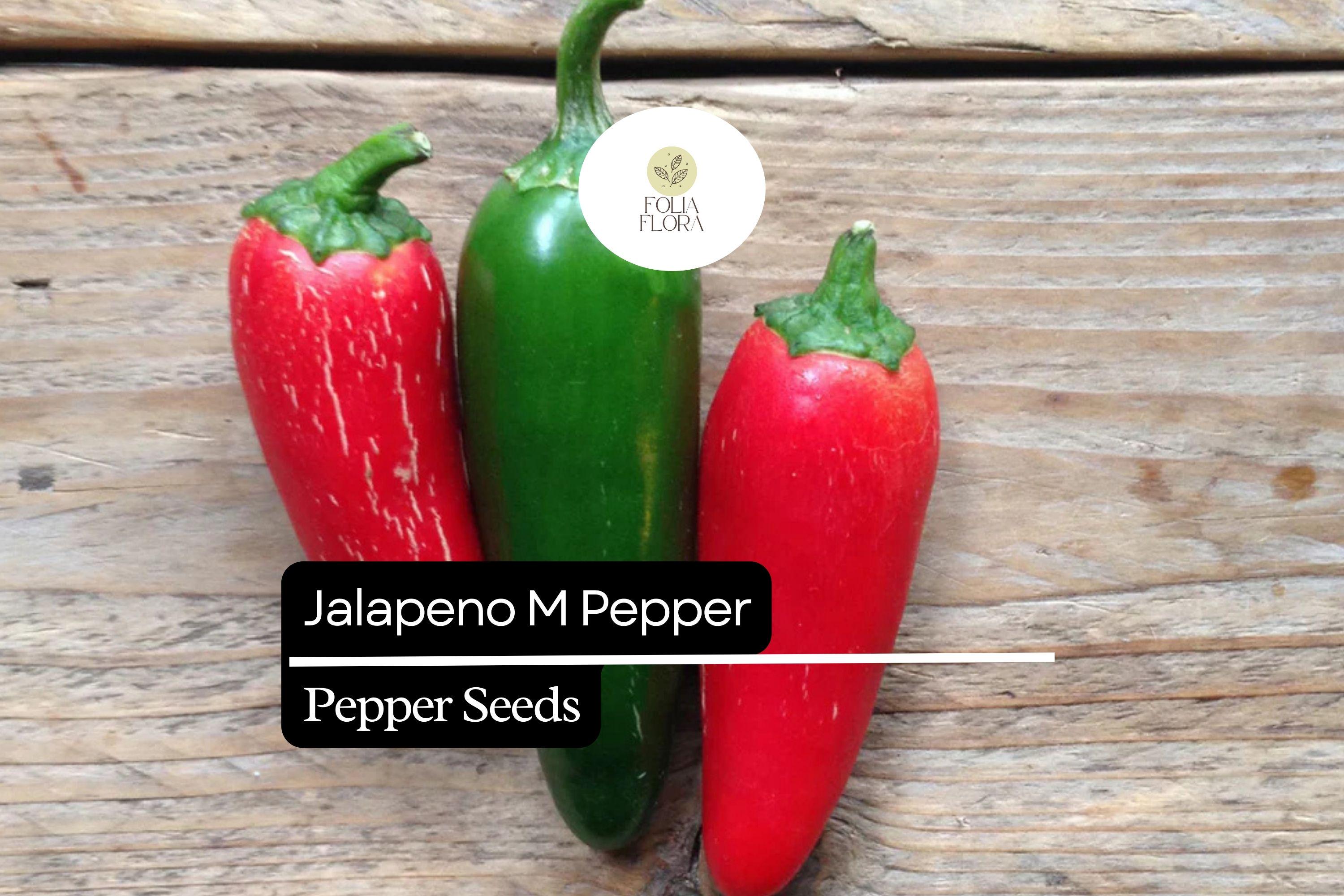 25 Jalapeño M Pepper Seeds – Heirloom, Non-GMO, Medium Heat, Capsicum annuum, Compact Bushy Plants
