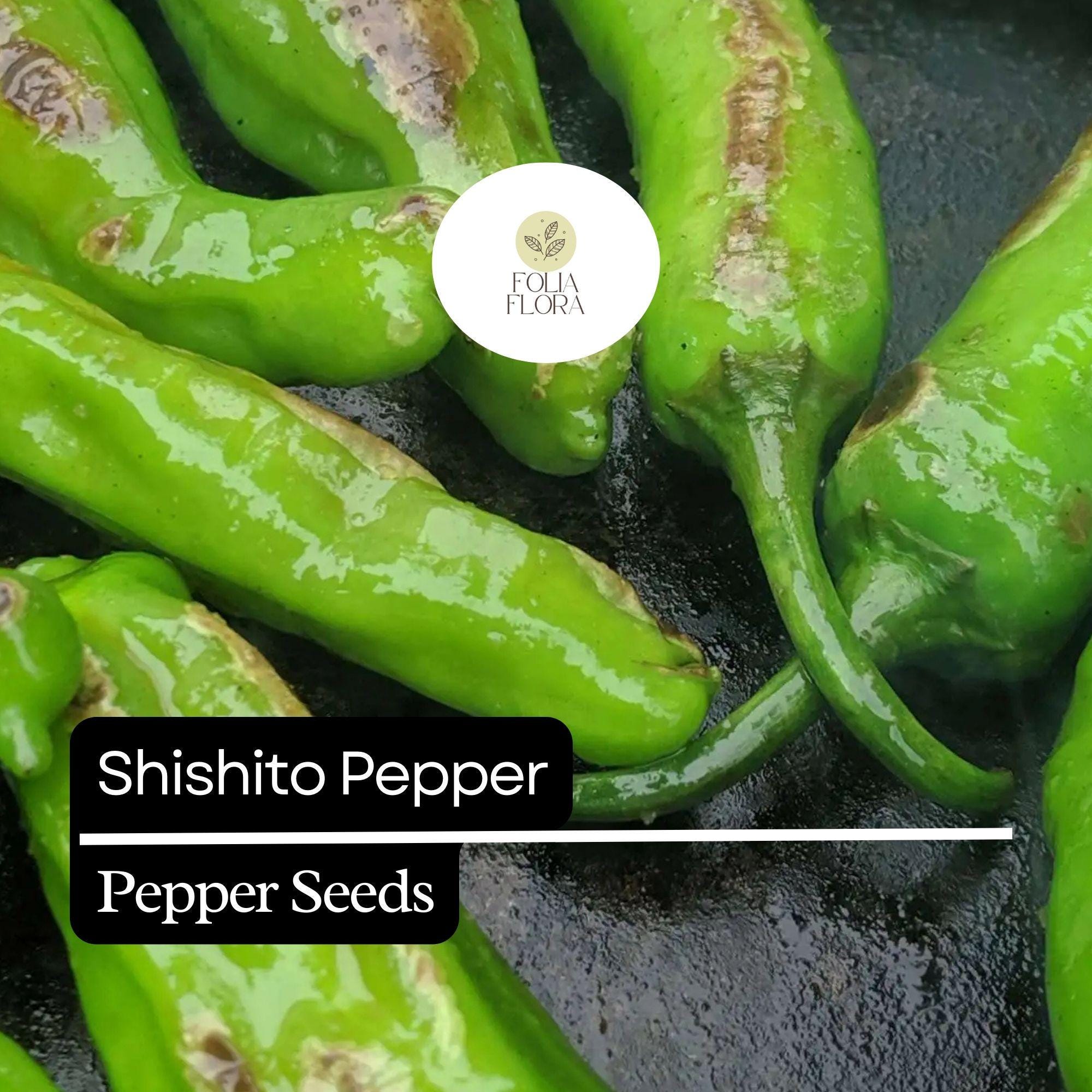 20 Shishito Pepper Seeds – Heirloom, Non-GMO, Mild & Sweet, Capsicum annuum, Easy to Grow