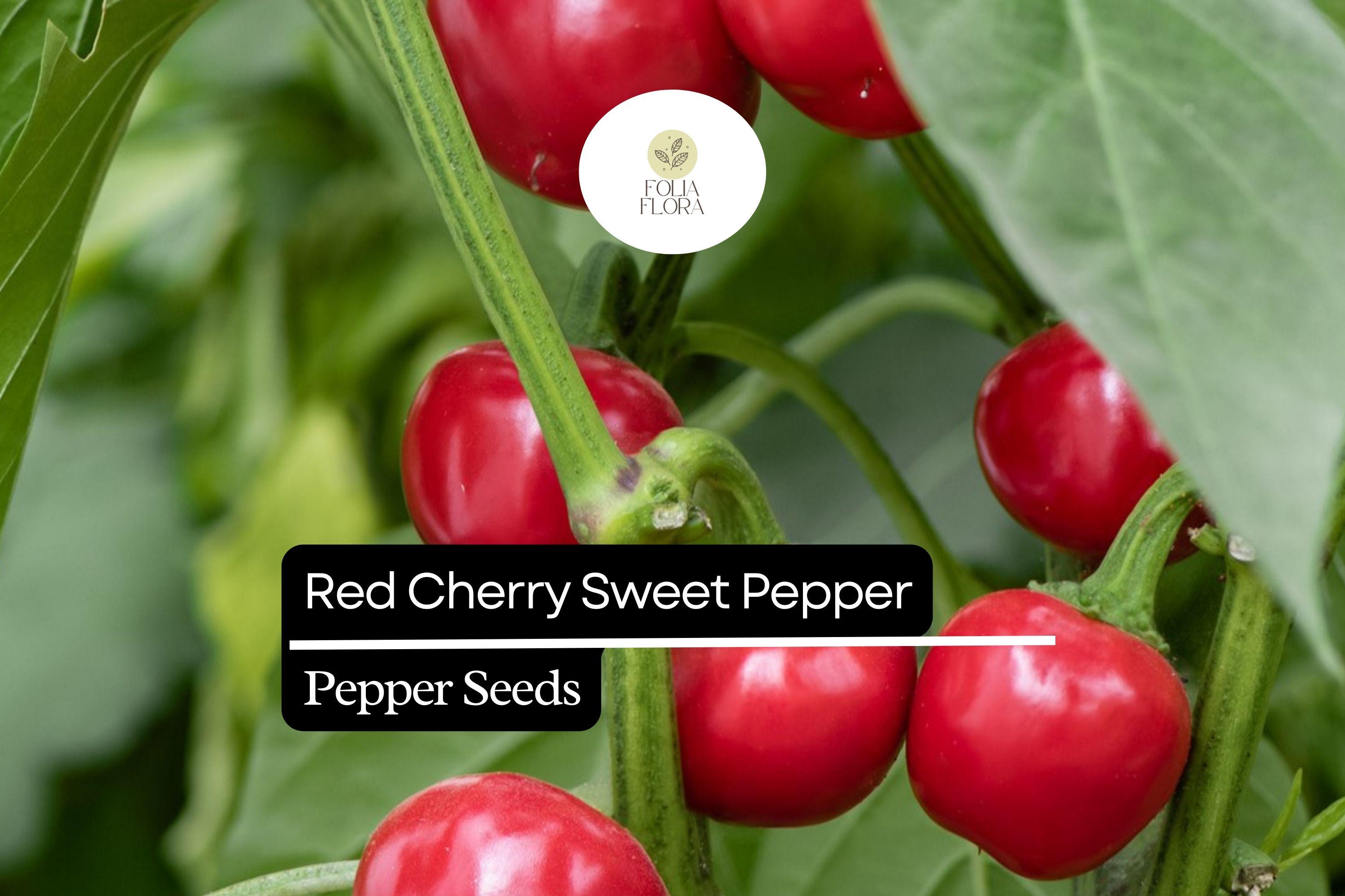 Sweet Red Cherry Pepper Seeds – Heirloom, Non-GMO, Small Round Bright Red, Capsicum annuum, 25 Seeds