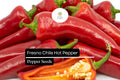Fresno Pepper Seeds – Heirloom, Non-GMO, High Yield, Spicy & Flavorful, 25 Seeds, Capsicum annuum