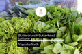Buttercrunch Lettuce Seeds – Heirloom, Heat-Tolerant, Tender & Sweet, Loose-Head Lactuca sativa