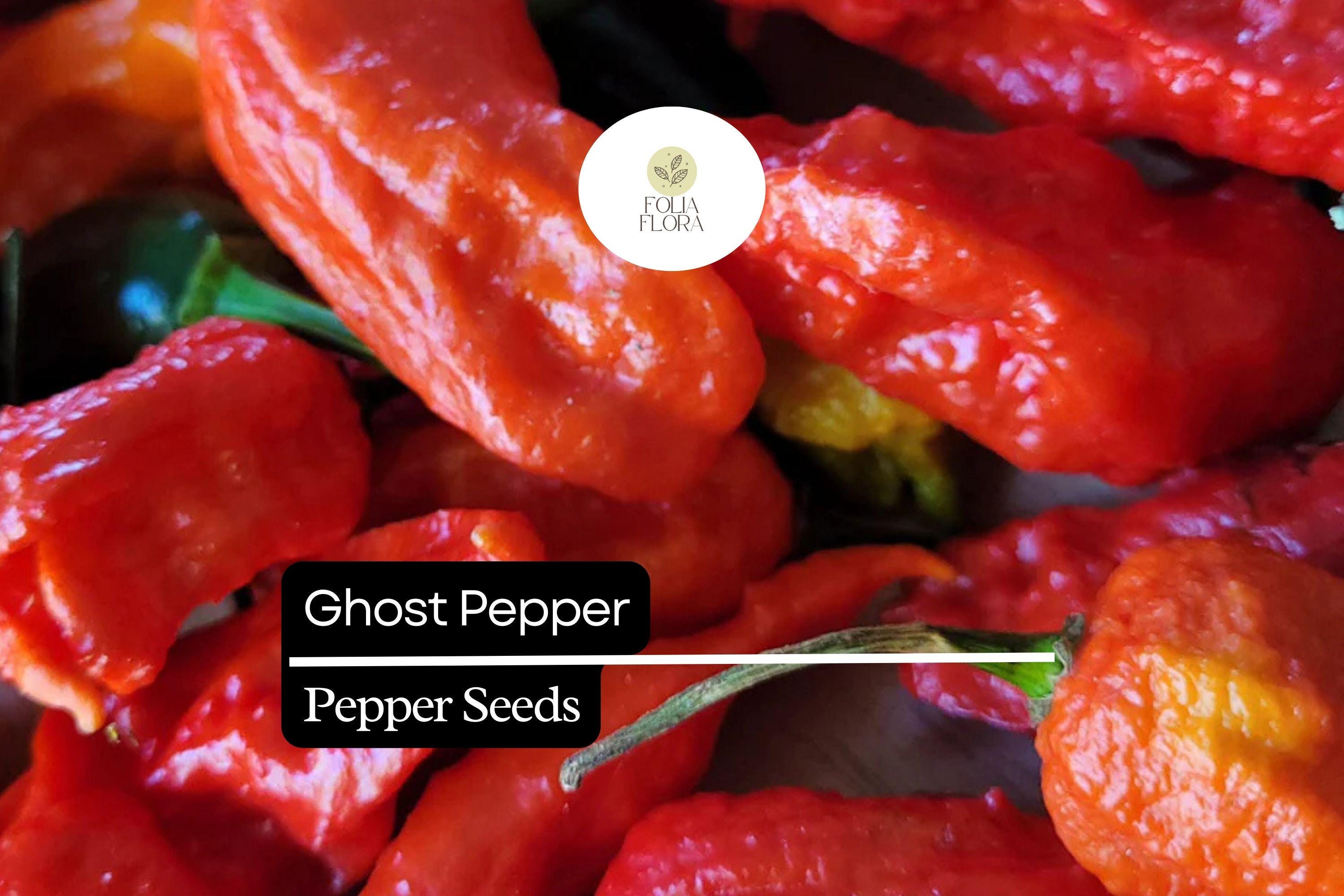 Ghost Pepper Seeds – Bhut Jolokia, Super Hot Heirloom Chili, Capsicum chinense, Red, Extreme Heat, Spicy Hot Sauce, 90-120 Days